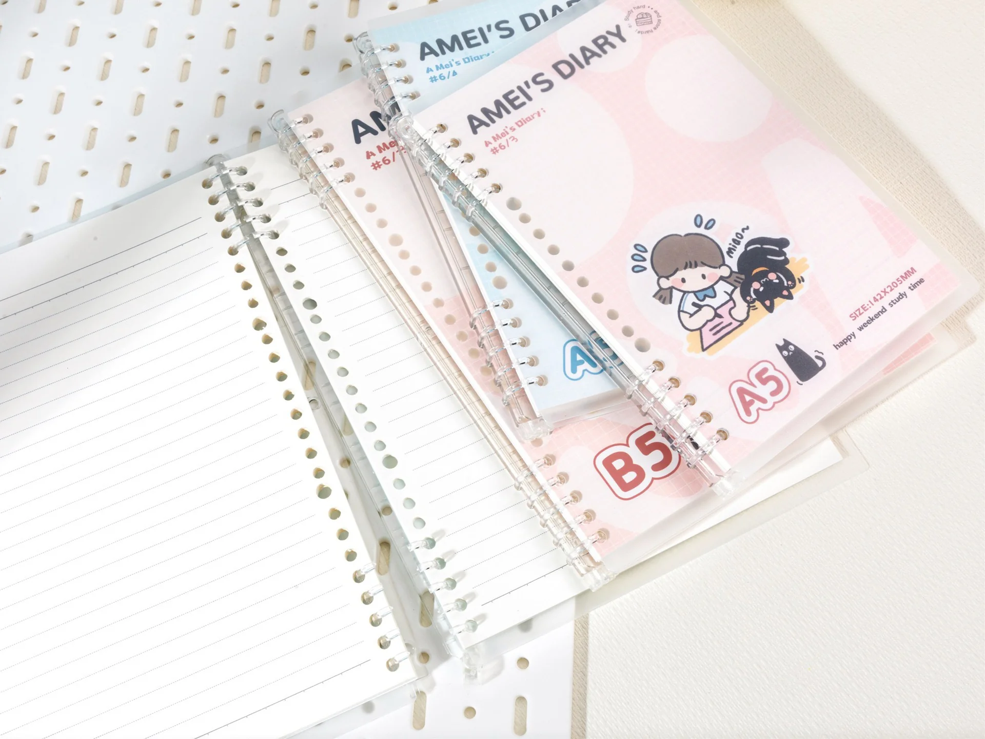 Ameis Notebook - Image 2