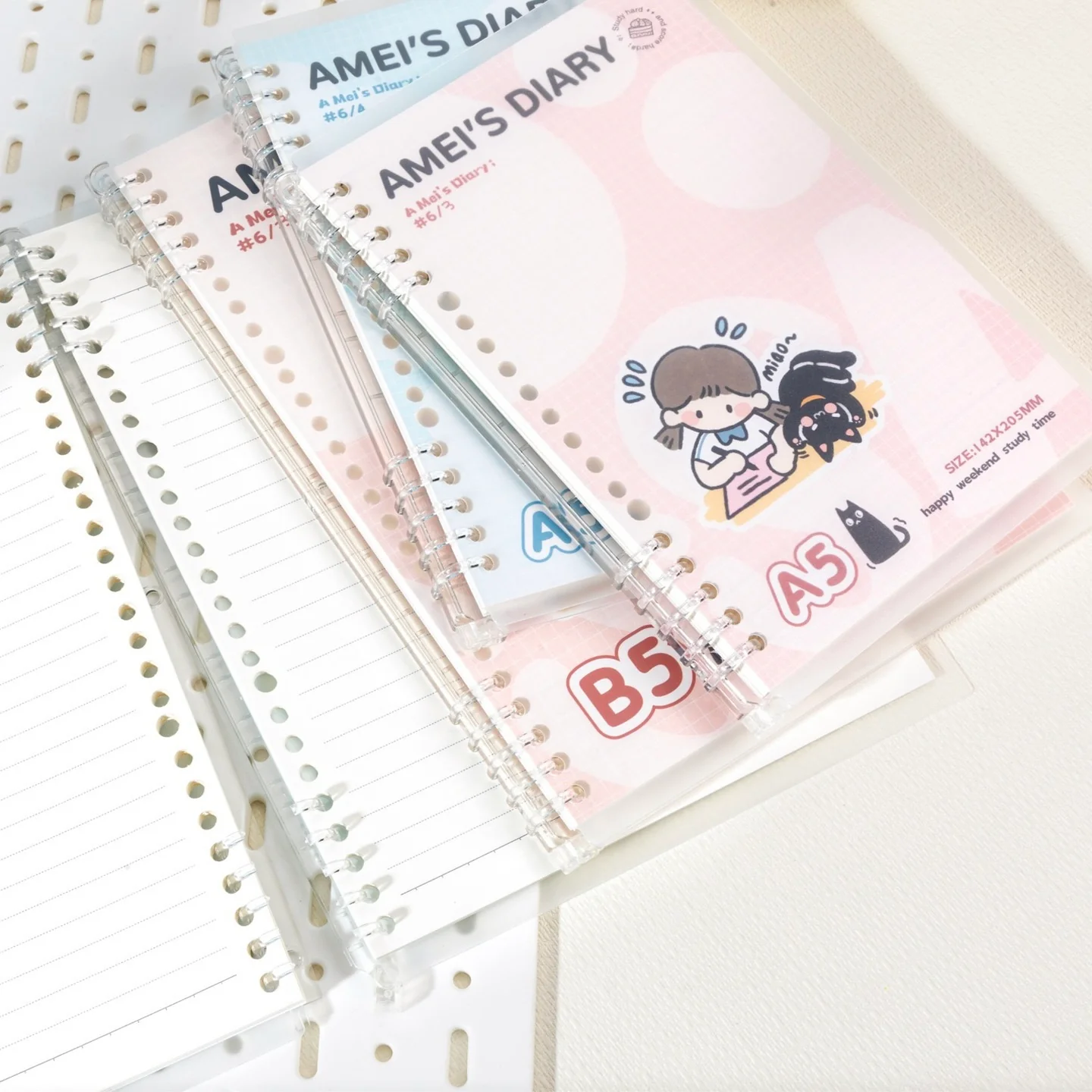 Ameis Notebook - Image 4
