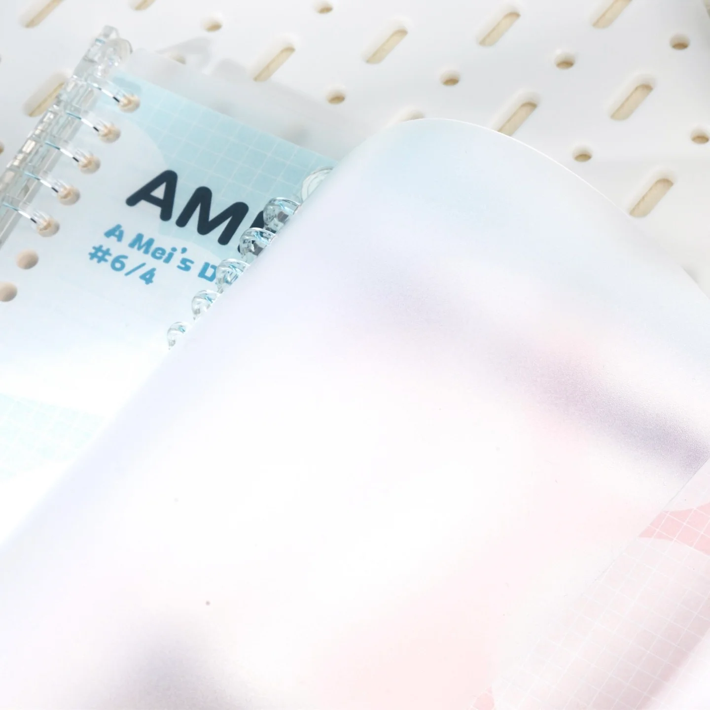Ameis Notebook - Image 5