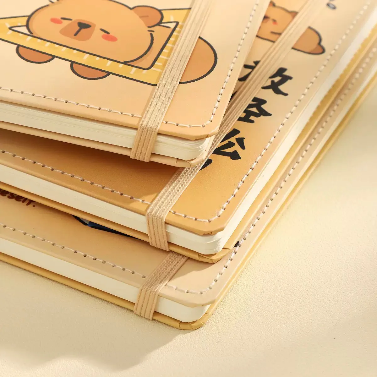 Capybara Disc Notebook - Image 2