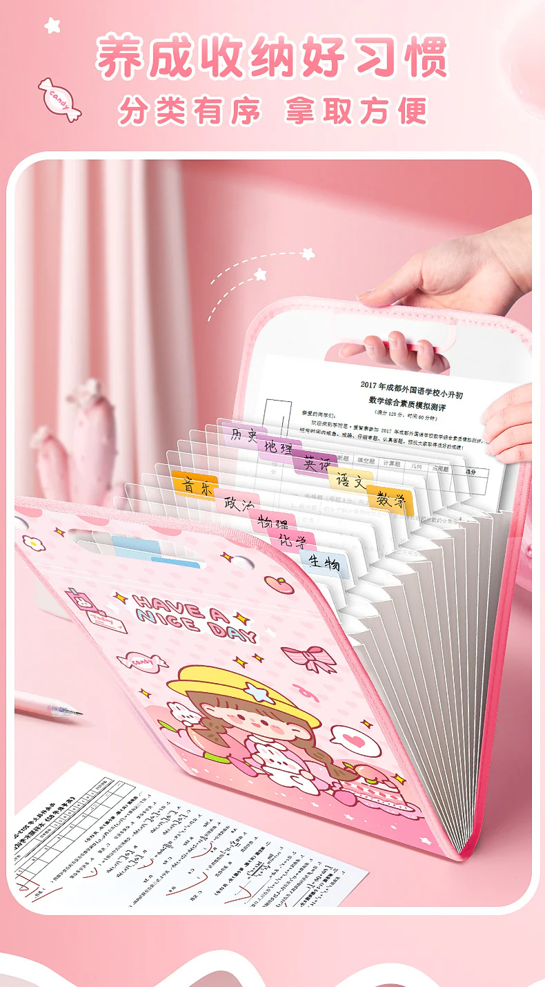 Girly Large Capacity File folder - Image 4