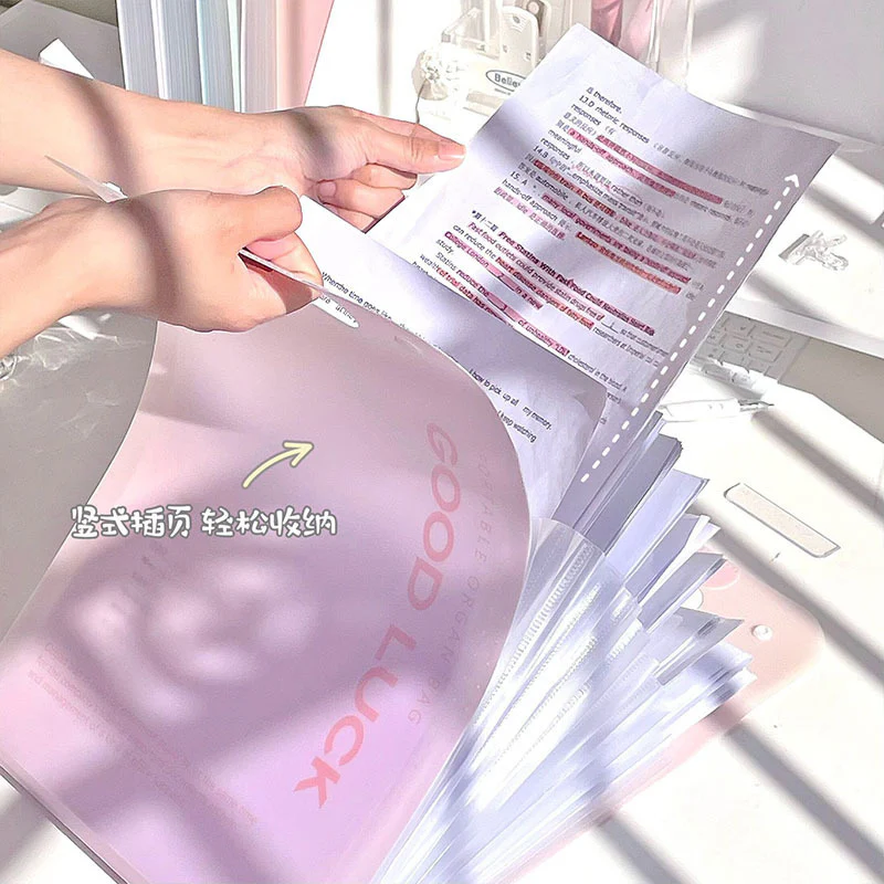 Kawaii A4 File Folder - Image 3