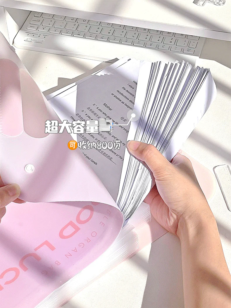 Kawaii A4 File Folder - Image 5