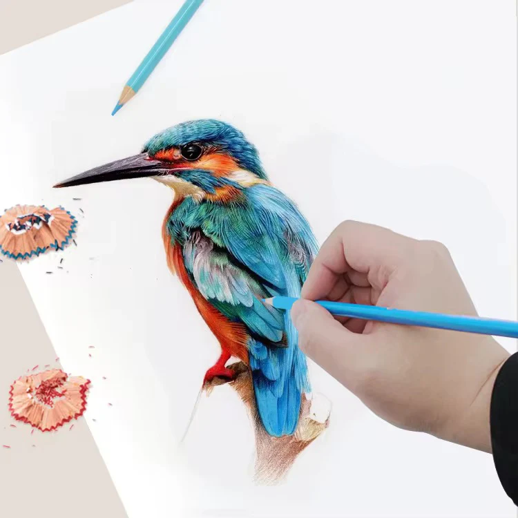 Professional Color Pencils - Image 7
