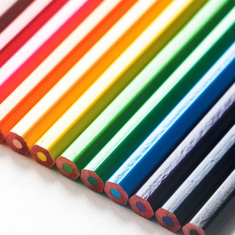 Seal Land Color Pencils - Image 2
